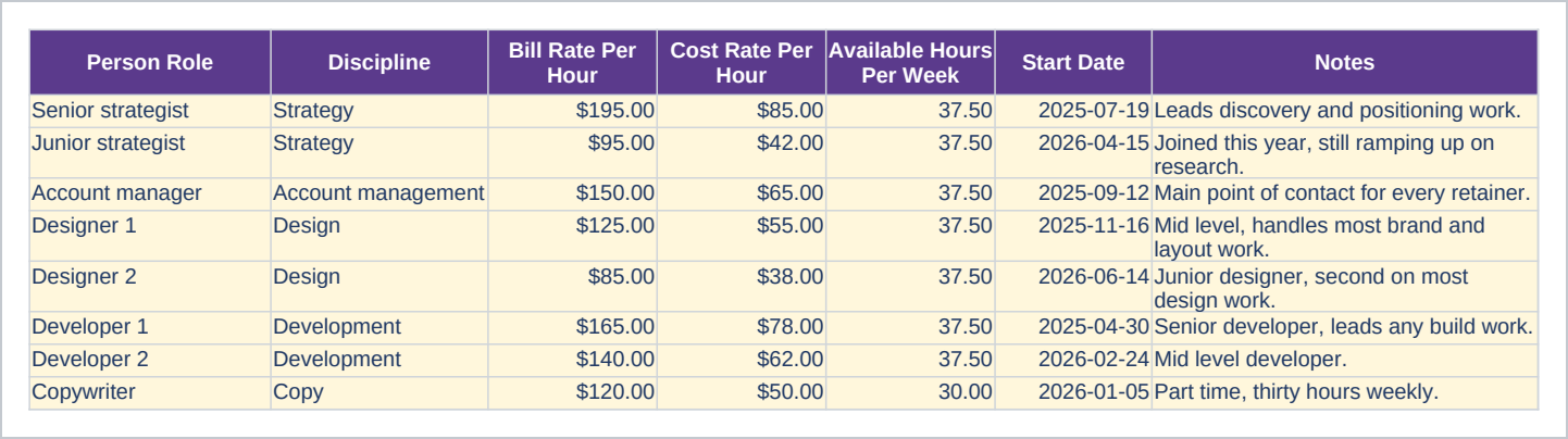 Team sheet of the Agency Project Profitability and Utilization Tracker, Excel Workbook showing person role, discipline, bill rate per hour and cost rate per hour.